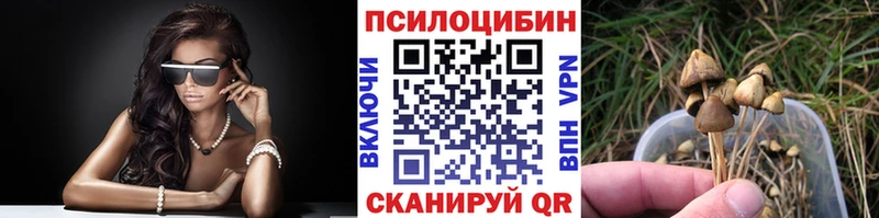 дарнет шоп  Подпорожье  Псилоцибиновые грибы мухоморы 