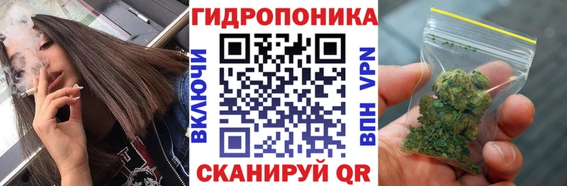 Марихуана тримм  Подпорожье 